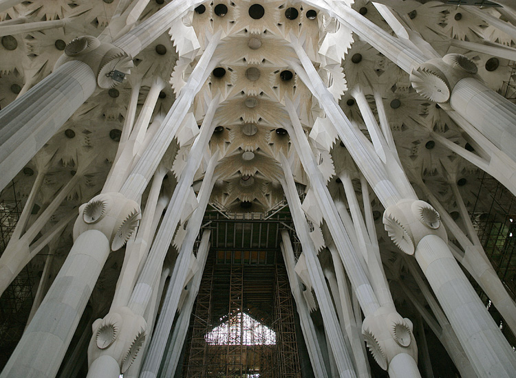 Antoni Gaudí, Sagrada Familia (1883-1926), interno. Barcellona (Mondadori Portfolio/Leemage)
